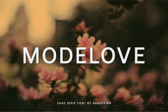 Modelove: The Sweet Sans Serif Font for Polished Branding
